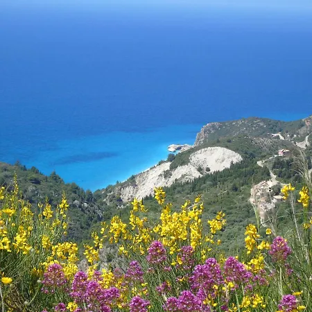 Panoramic View