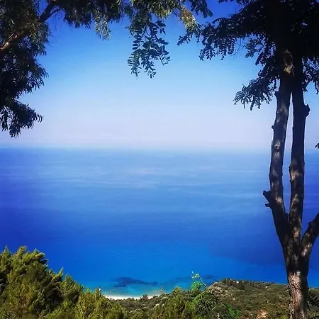 Panoramic View